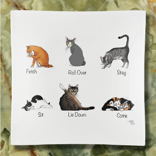 Funny Cat Commands Illustrated Training Chart Trinket Tray