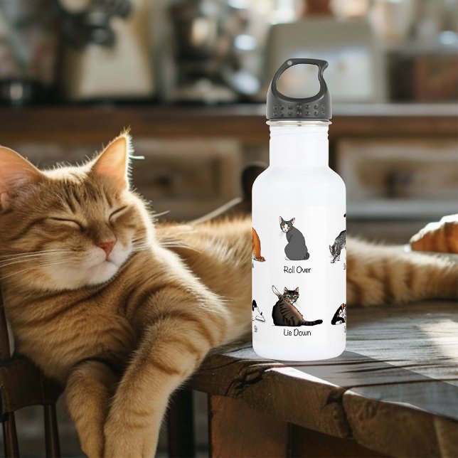 Funny Cat Commands Illustrated Training Chart Water Bottle (Creator Uploaded)