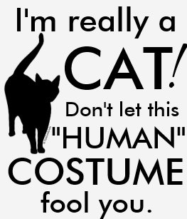 Funny Cat Costume Halloween Womens T Shirt Funny Cat Costume Halloween Womens T Shirt