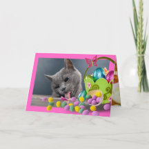 Funny Cat Custom Easter Card
