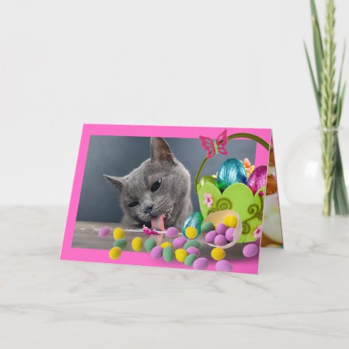 Funny Cat Custom Easter Card