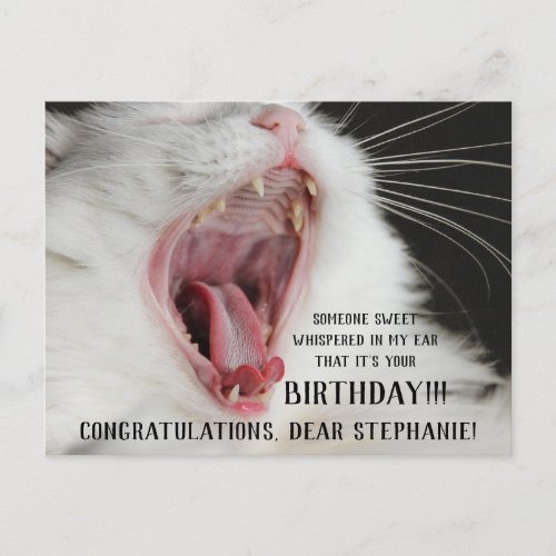 Funny Cat Cute Birthday Postcard