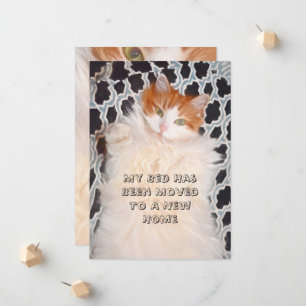 Funny Cat Cute Moving New Address Announcement