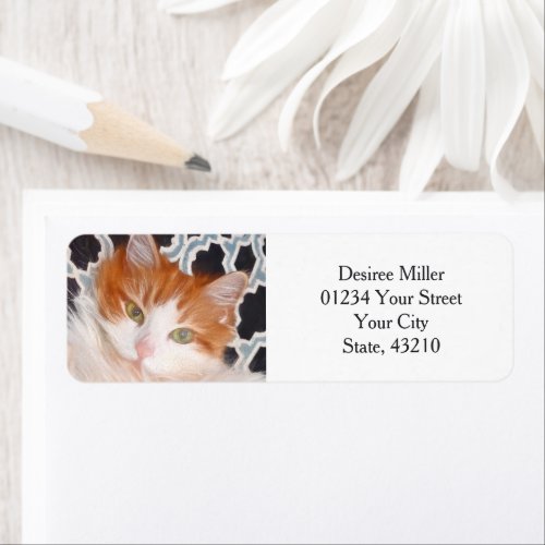Funny Cat Cute Moving New Address Label