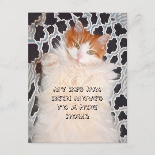 Funny Cat Cute Moving New Address Postcard (Front)