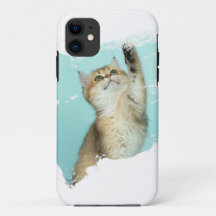 Funny Cat Design
