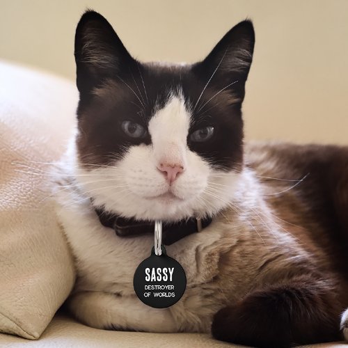 Funny Cat Destroyer of Worlds Pet ID Tag
