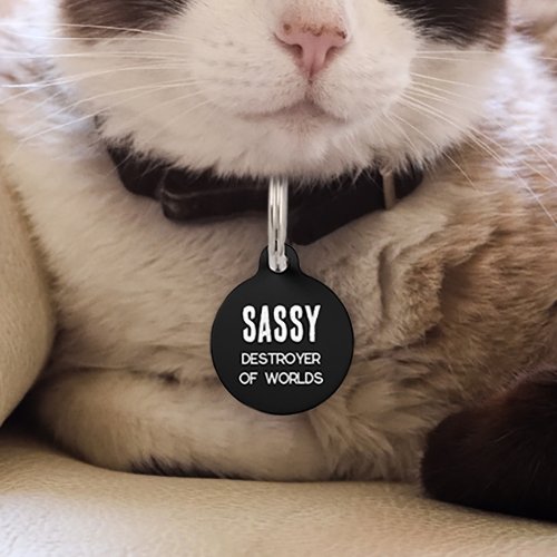 Funny Cat Destroyer of Worlds Pet ID Tag