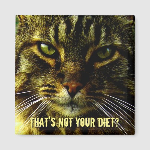 Funny Cat Diet Guard Magnet