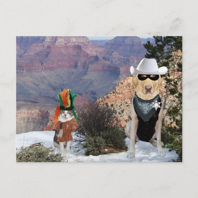 Funny Cat & Dog/Lab Western Characters Postcard (Front)