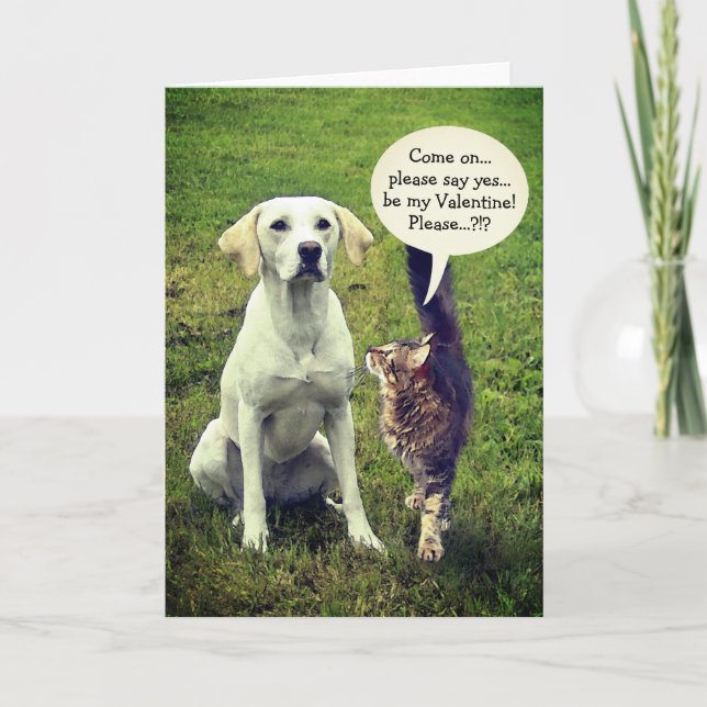 Funny Cat & Dog Valentine (customizable) Holiday Card (Front)