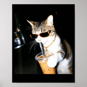 Funny Cat Drinking Iced Coffee Humor Meme Kitten Poster