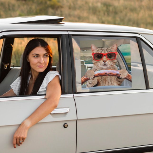 Funny Cat Driving Car Shade 12" x 12" Window Cling (Creator Uploaded)