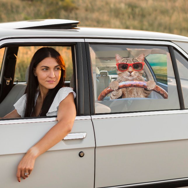 Funny Cat Driving Car Shade 16" x 12" Window Cling (Creator Uploaded)