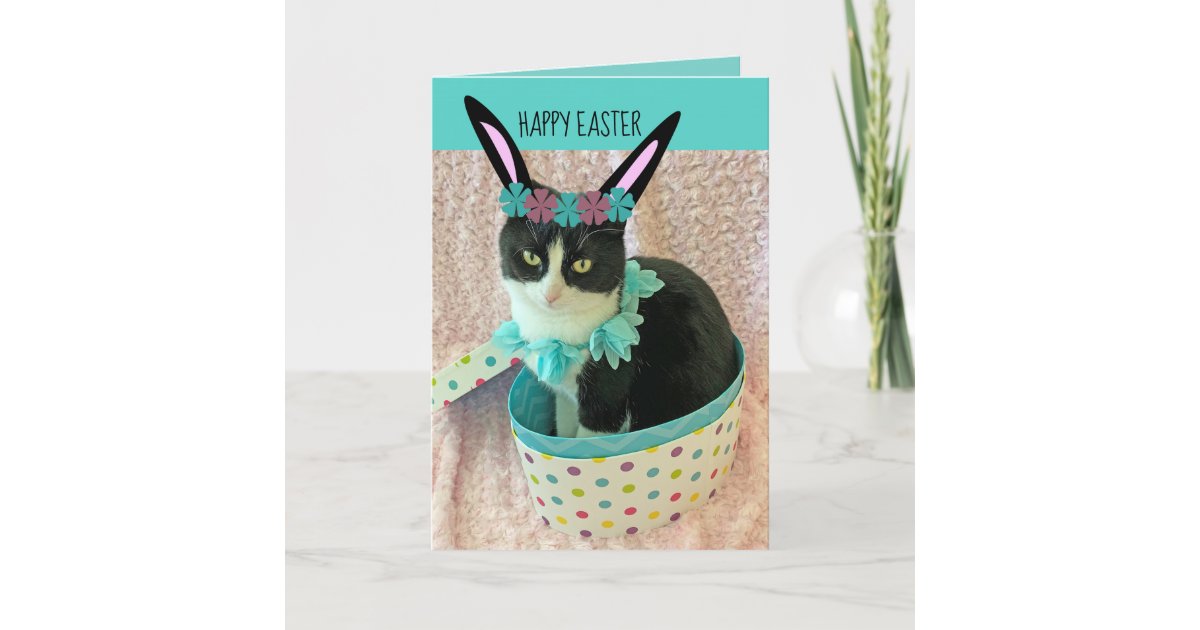 Funny Cat Easter Card Zazzle