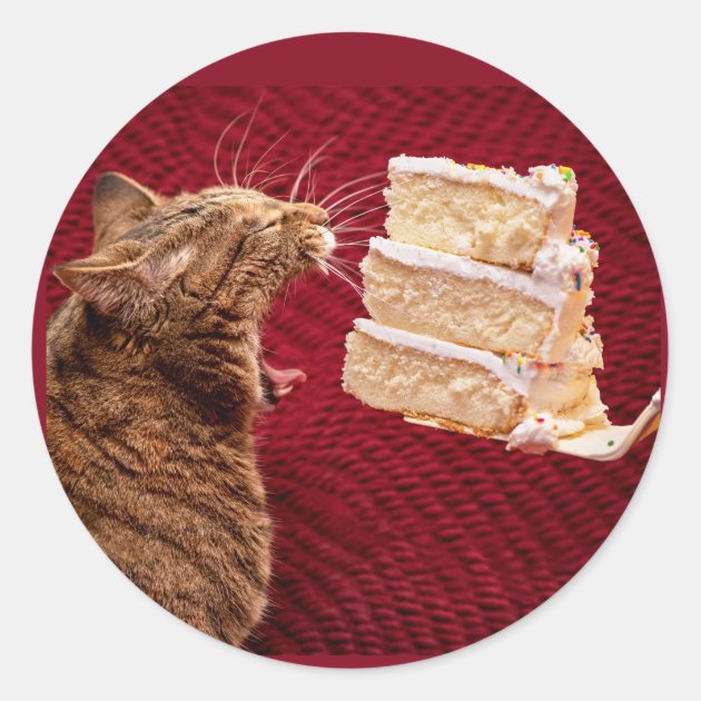 370+ Cat Eating Cake Stock Photos, Pictures & Royalty-Free Images - iStock