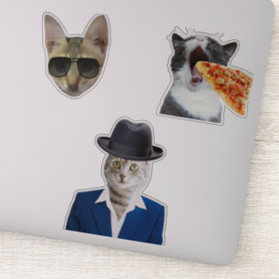 Funny Cat Eating Pizza Sticker