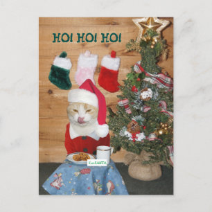 Funny Cat Eating Santa's Snack Holiday Postcard