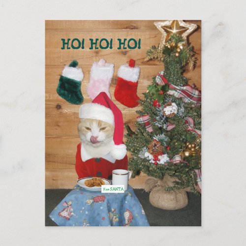 Funny Cat Eating Santas Snack Holiday Postcard