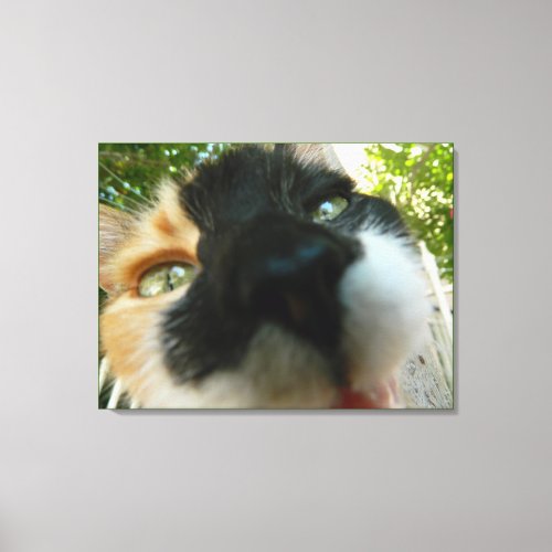 Funny cat face close up photo canvas print