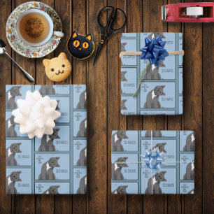 Funny Cat Father’s Day Gray Cat Blue Wrapping Paper Sheets