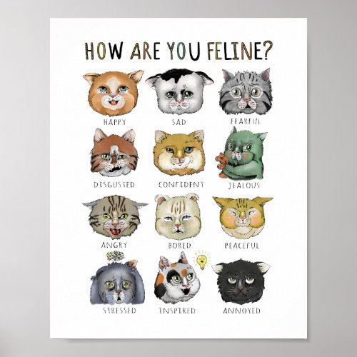 Funny Cat Feeling Chart How Are You Feline