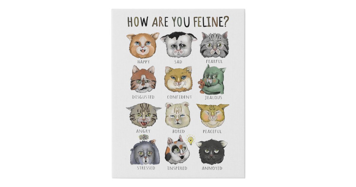 Funny Cat Feeling Chart How Are You Feline? Faux Canvas Print | Zazzle