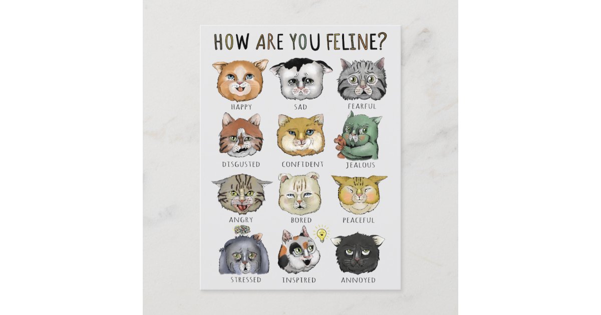 Funny Cat Feeling Chart How Are You Feline? Postcard | Zazzle