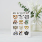 Funny Cat Feeling Chart How Are You Feline? Postcard | Zazzle