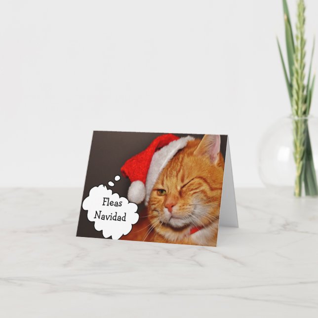 Funny Cat Fleas Navidad Holiday Christmas (Front)