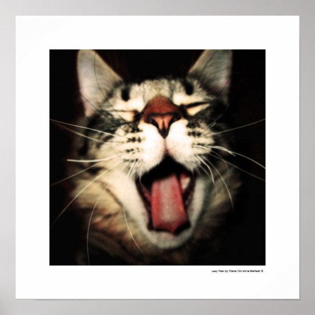 Funny Cat Fun Tongue Out Kitten Cool Poster Prints (Front)