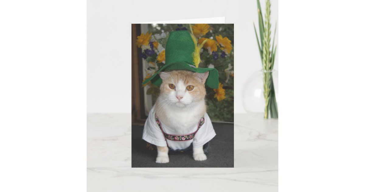 Funny Cat German Birthday Card Zazzle Com