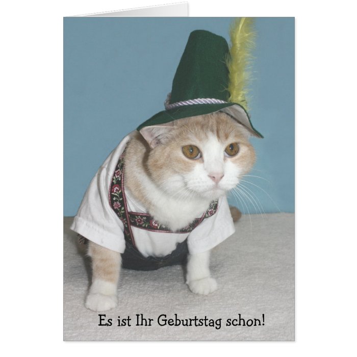 Funny Cat German Birthday Greeting Cards