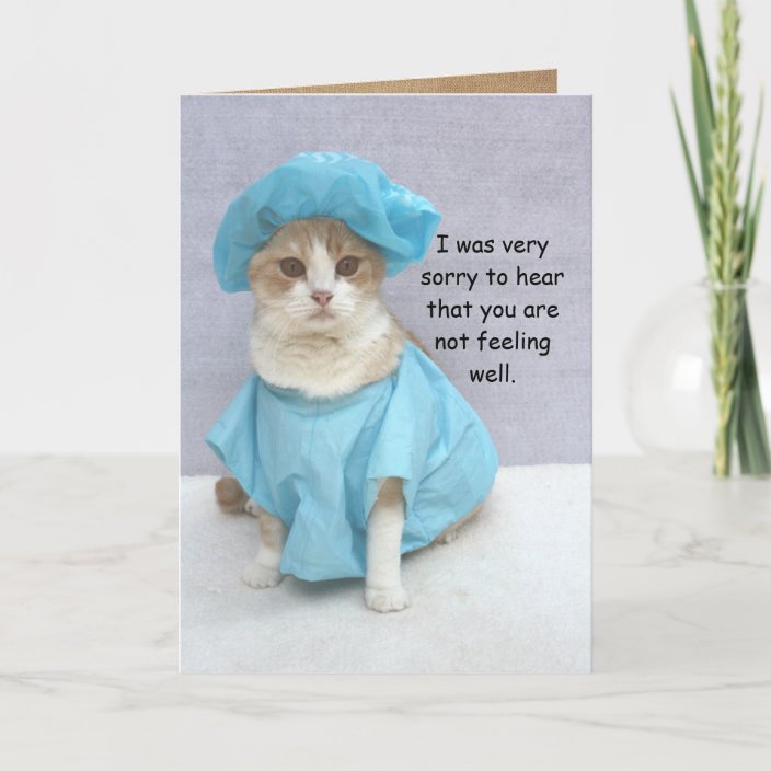 funny-cat-get-well-card-zazzle