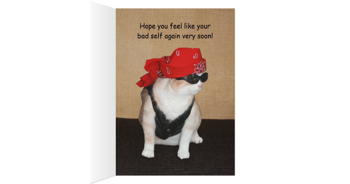 Funny Cat Get Well Cards