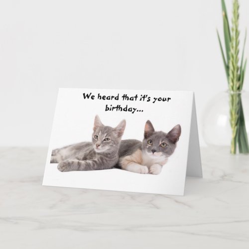 Funny Cat Give Us Tuna Birthday Card