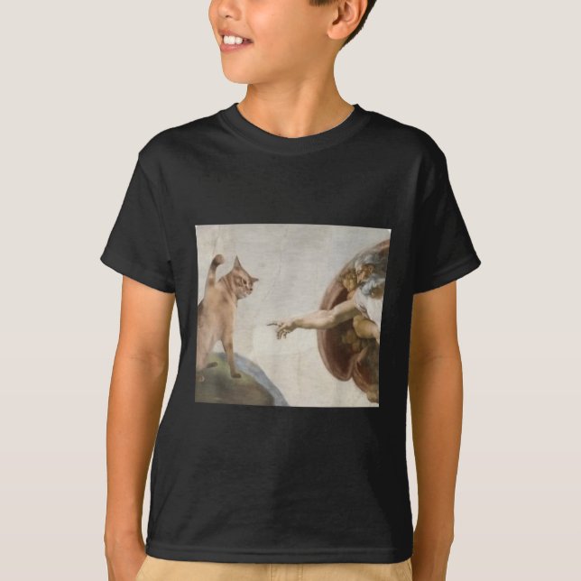 Funny Cat God Creation Of Adam Meme Michelangelo J T-Shirt (Front)
