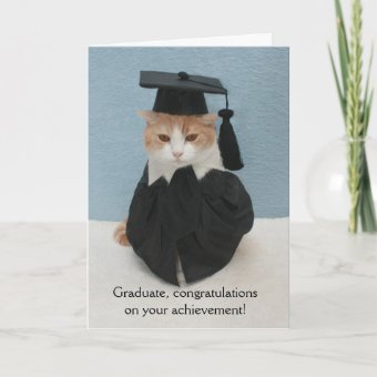 Funny Cat Graduation Card | Zazzle