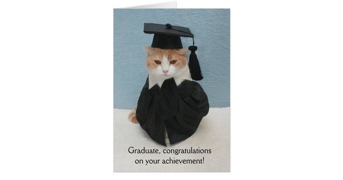 funny_cat_graduation_card r1c6d5a2000f643b59c5b219428eea10e_xvuat_8byvr_630