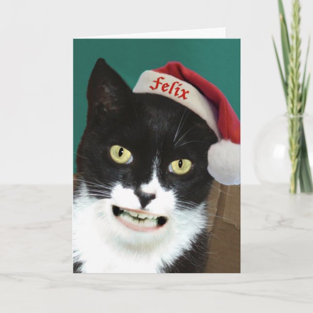 Funny Cat Greeting Card (Front)