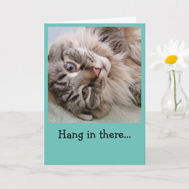 Funny Cat- Hang in there Card (Small Plant)
