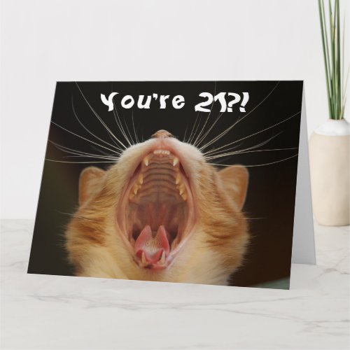 Funny Cat Happy 21st Birthday Card