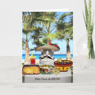 Funny Cat Happy Cinco de Mayo Card