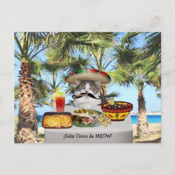 Funny Cat Happy Cinco De Mayo Postcard by myrtieshuman at Zazzle