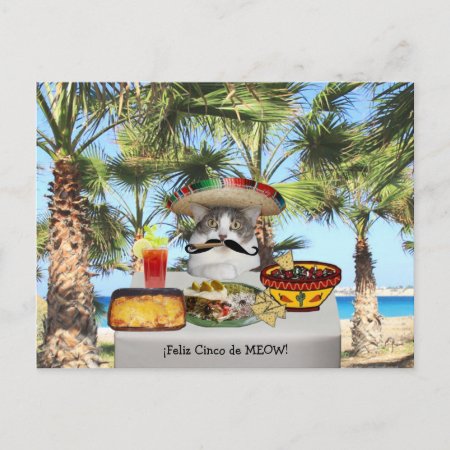 Funny Cat Happy Cinco De Mayo Postcard