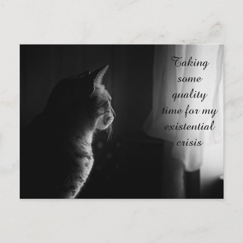 Funny Cat Having Existential Crisis Postcard