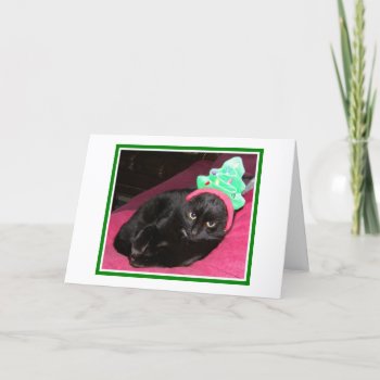 Funny Cat Holiday Christmas Card by GailRagsdaleArt at Zazzle