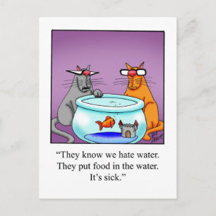 Funny Cat Humor Postcard