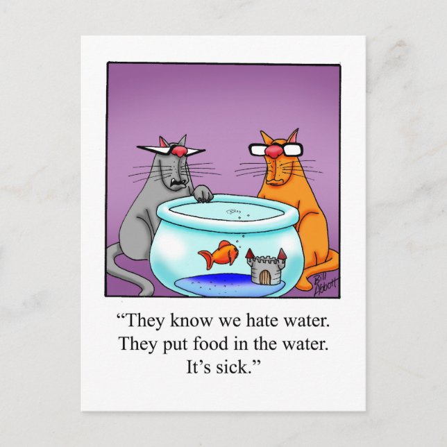 Funny Cat Humor Postcard (Front)