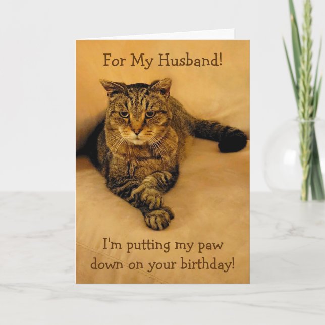 Funny Cat Husband Birthday Card (Front)
